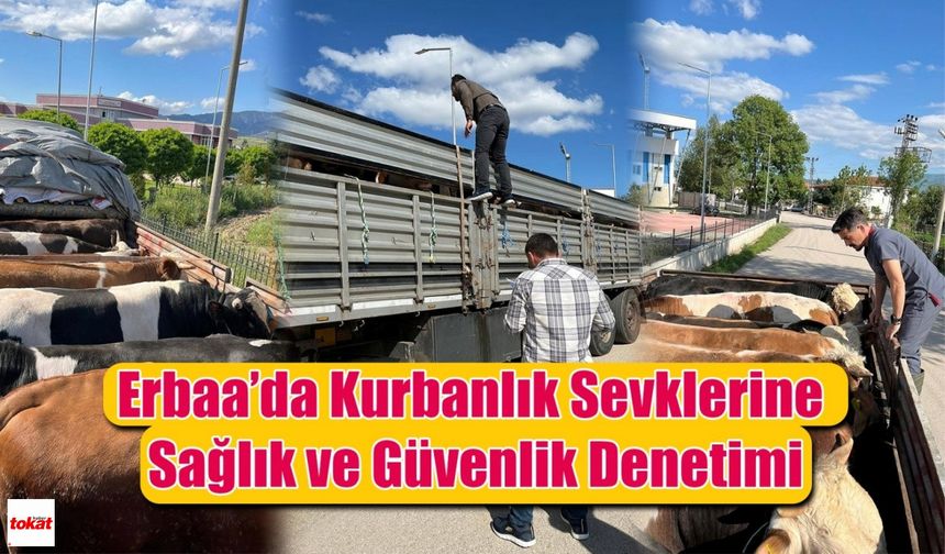 Erbaa’dan Türkiye’ye Güvenli Kurbanlık Sevkiyatı: Denetimler Sıkılaştırıldı