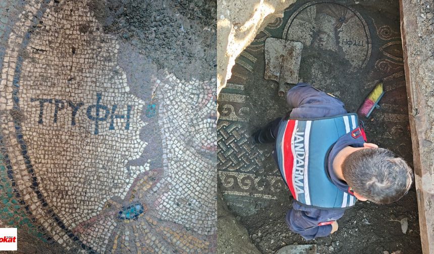 Tokat'ta kaçak kazı Roma mozağini ortaya çıkarttı