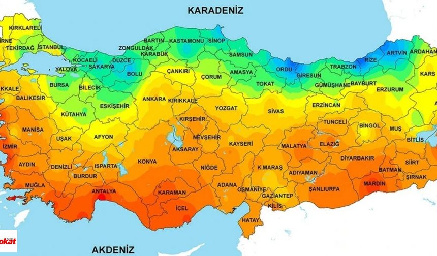Tokatlılar Dikkat! Evde, Sokakta, İş Yerinde: Her Yerdeler! Ya Öldürüyor Ya da...