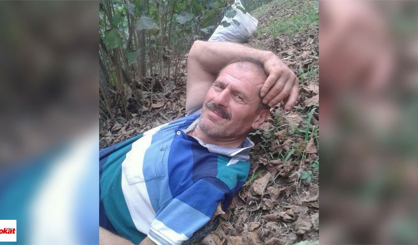 Fındık Bahçesinde Korkunç Olay: Yaşlı Adam Ölü Bulundu