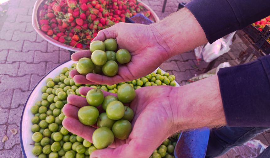 Tokat'ta Erkenci Meyveler Tezgahlara Yüksek Fiyattan Giriş Yaptı Erik Tat Ekşitti