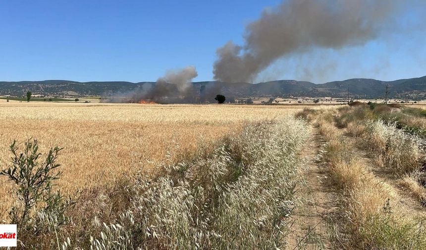 Tarlada çıkan yangın 20 dönüm ekili alanı yok etti
