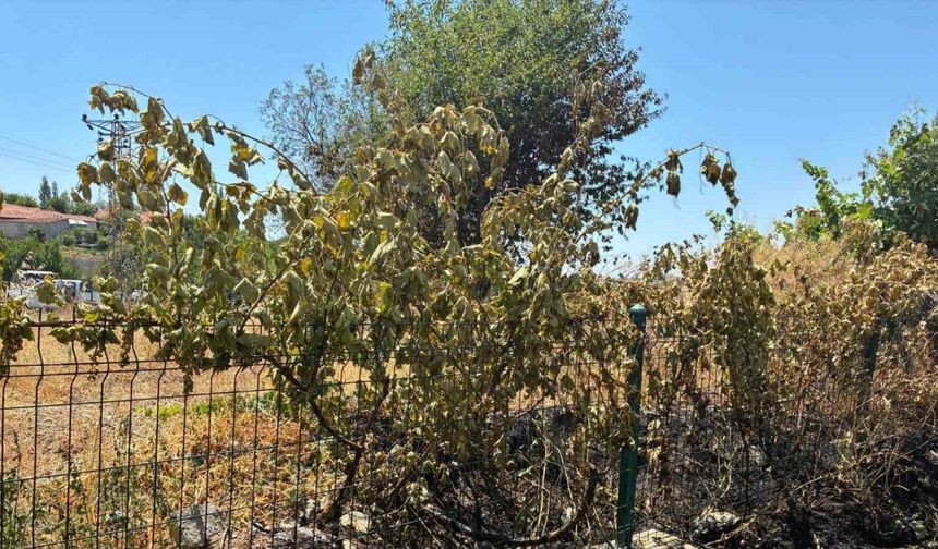 Kopan ÇEDAŞ kablosu yangına neden oldu
