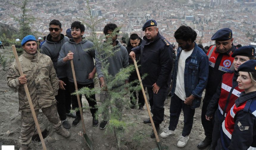 Tokat’ta Yanan Orman, 1750 Fidanla Yeniden Hayat Buldu