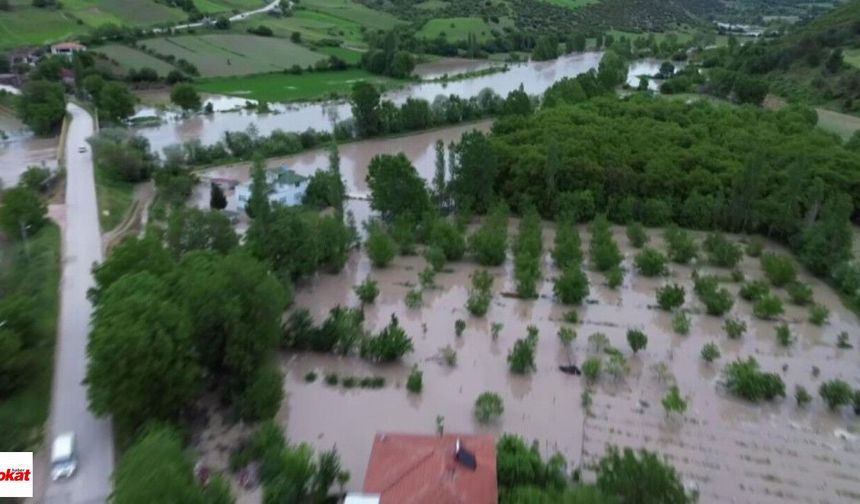 Doğal afetler Tokat'ta çiftçinin emeğini sildi: Hem ürün hem gelir sıfırlandı