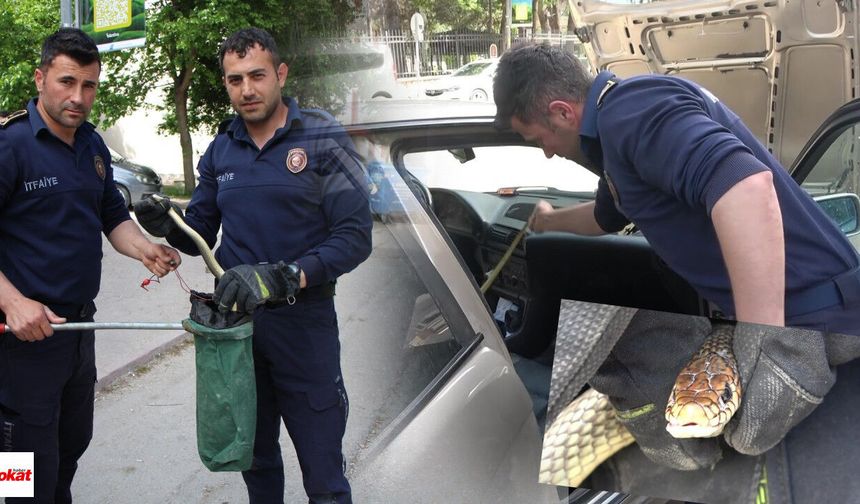 Otomobilin içine giren 1,5 metrelik yılanı itfaiyeciler yakaladı