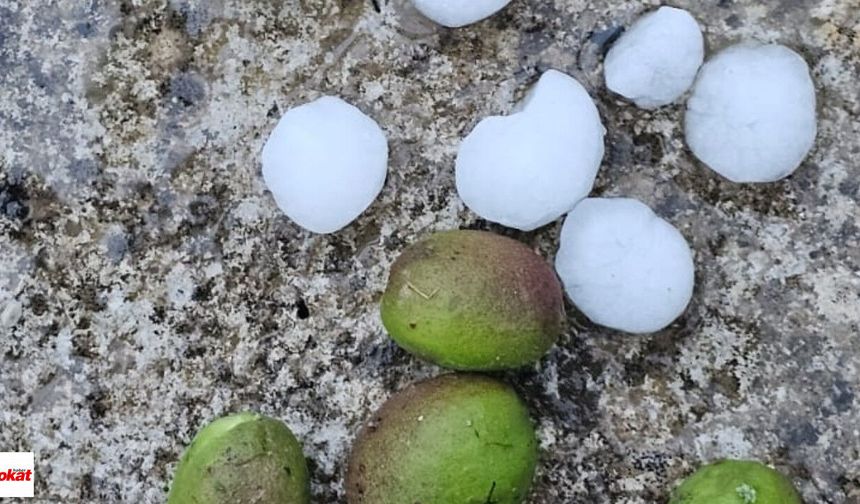 Zile’de Ceviz Büyüklüğünde Dolu Yağdı: Sokaklar Beyaza Büründü