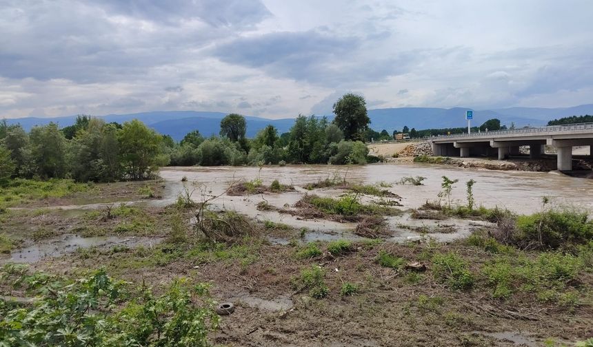 Niksar Hamidiye Köprüsü'nde Son Durum