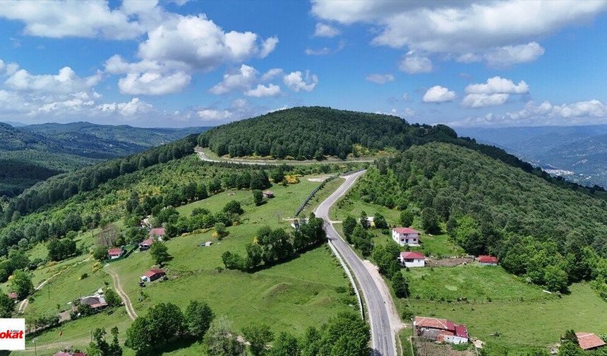 Tokat'ın Yanında Yükseliyor Yaz Boyunca Herkesi Ağırlıyor Menderesleri Çok Ünlü Sezon 4 Ay Sürüyor 1500 Rakımı Var