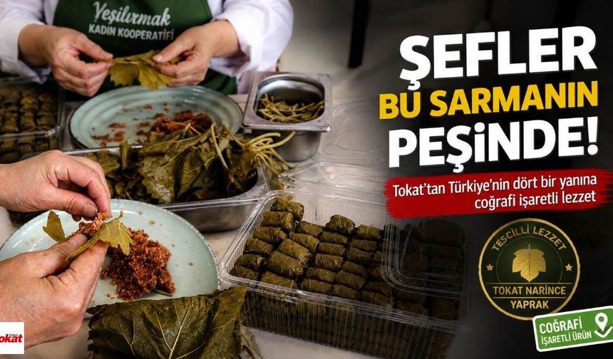 Şefler Bu Sarmanın Peşinde! Tokat'tan Türkiye'ye Lezzet Seferi