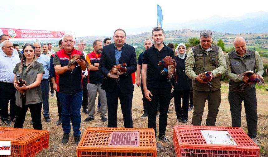 Erbaa’da Bin 500 Keklik ve Sülün Kenelere Karşı Doğaya Salındı