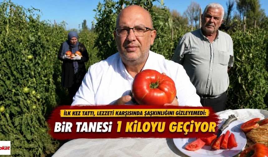 İlk kez tattı, lezzeti karşısında şaşkınlığını gizleyemedi: Bir tanesi 1 kiloyu geçiyor