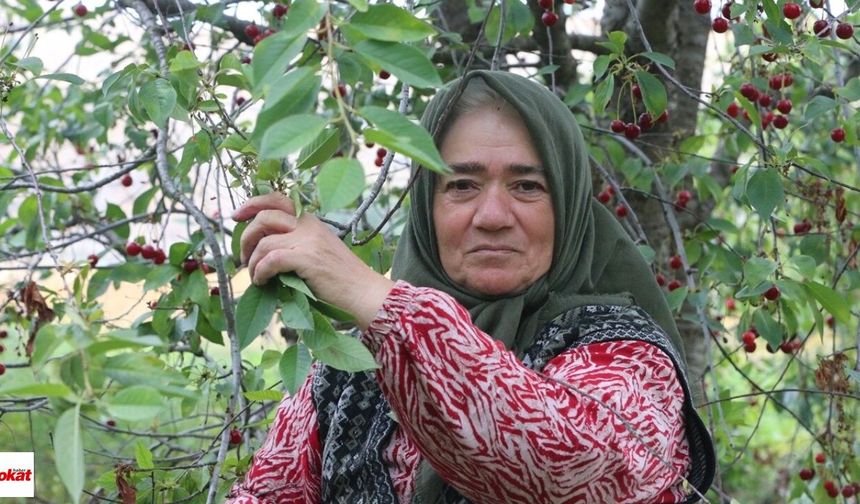 İlham veren kadın girişimciler ödüllendirilecek