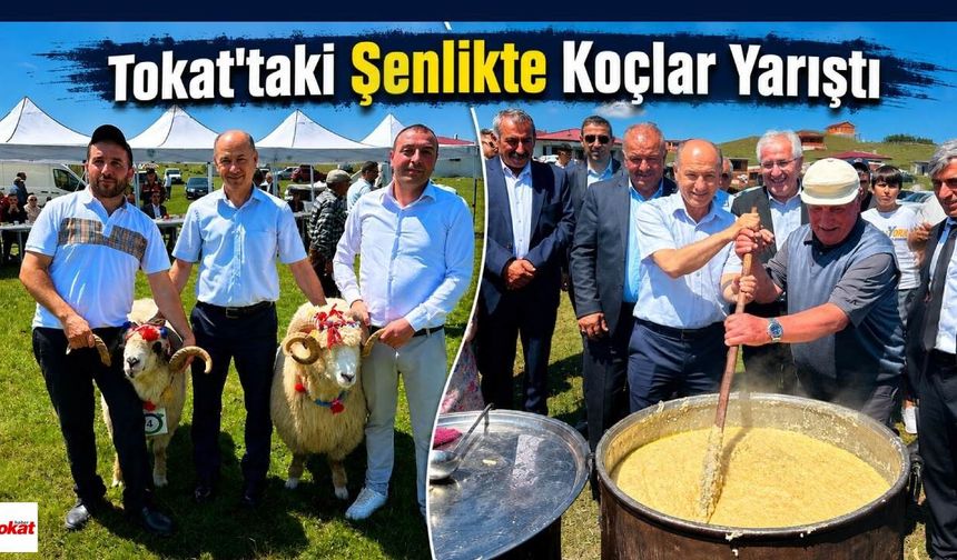 Tokat'taki Şenlikte Koçlar Yarıştı