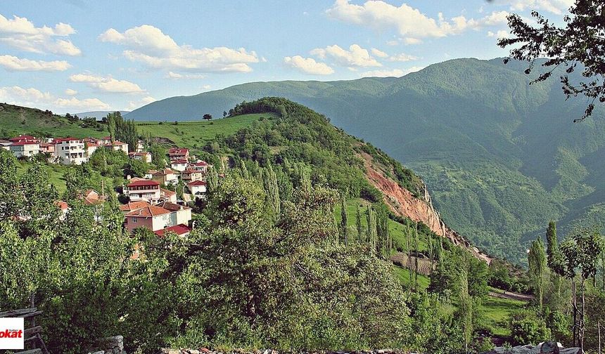 Tokat'ın En Az Köyü Olan İlçesi Sadece 7 Köyü 1 Kasabası Bulunuyor  En Küçük Köy Ağına Sahip Yerleşimi Burada Bulunuyor