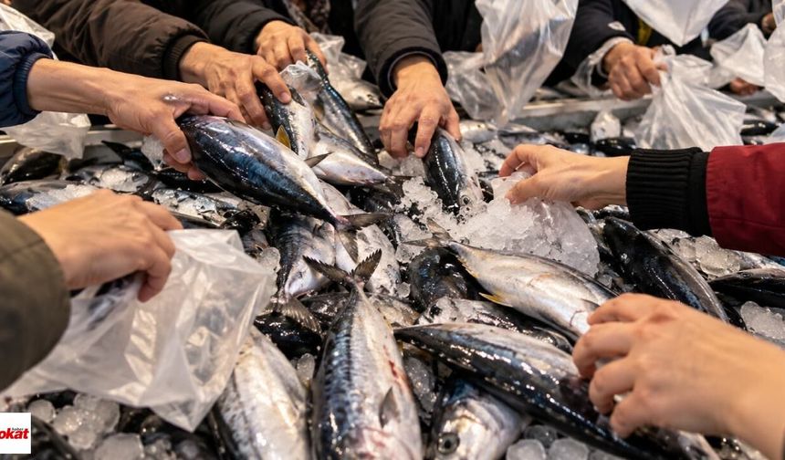 Tokat’ta Görülmemiş Palamut Kuyruğu! 110 TL İndirimi Duyan Markete Koştu