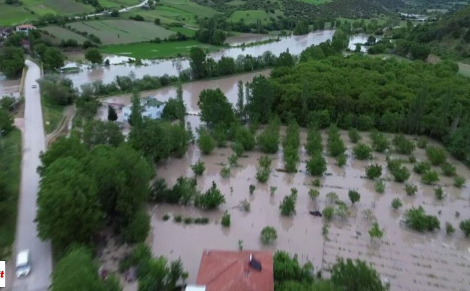 Doğal afetler Tokat'ta çiftçinin emeğini sildi: Hem ürün hem gelir sıfırlandı