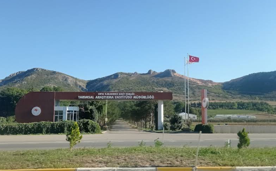 Tokat’ta 16 Kişiye İş Kapısı Açıldı: Başvurular Şahsen Alınacak