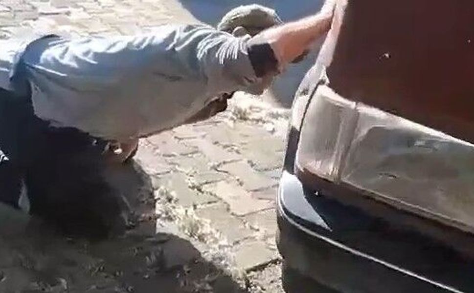 Tokat'ta aracın motor kısmına girdi, itfaiye ekipleri müdehale etti