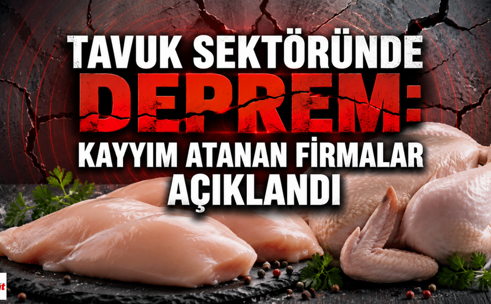 Tavuk Sektöründe Deprem: Kayyım Atanan Firmalar Açıklandı