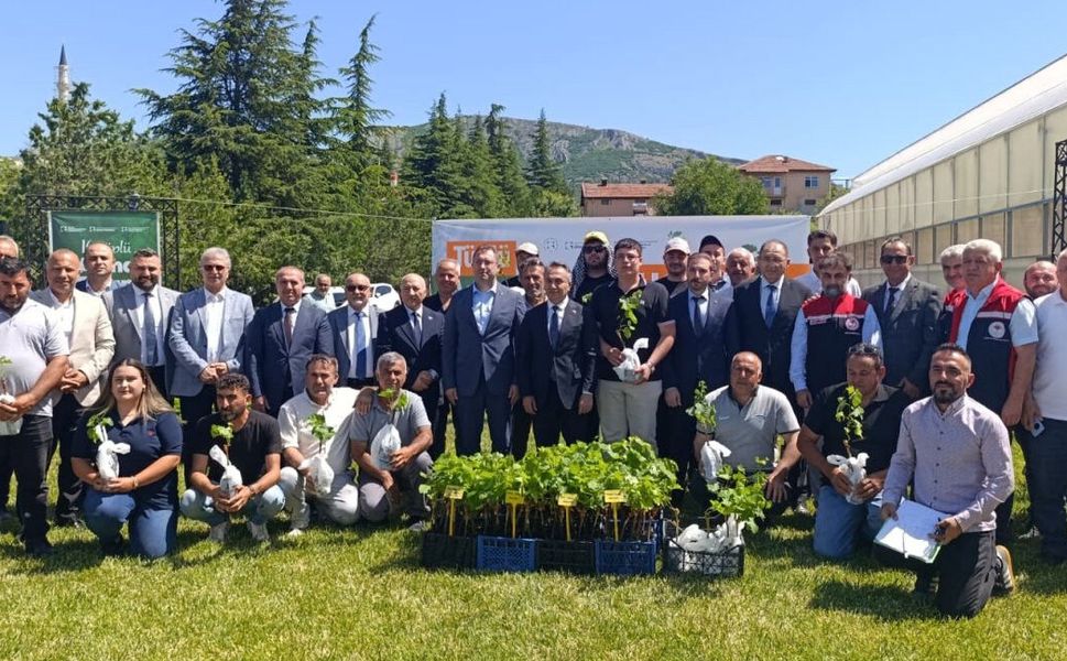 Tokat'ta Emek Toprakla Buluştu 16. Geleneksel Asma Fidanı Dağıtımı Yapıldı