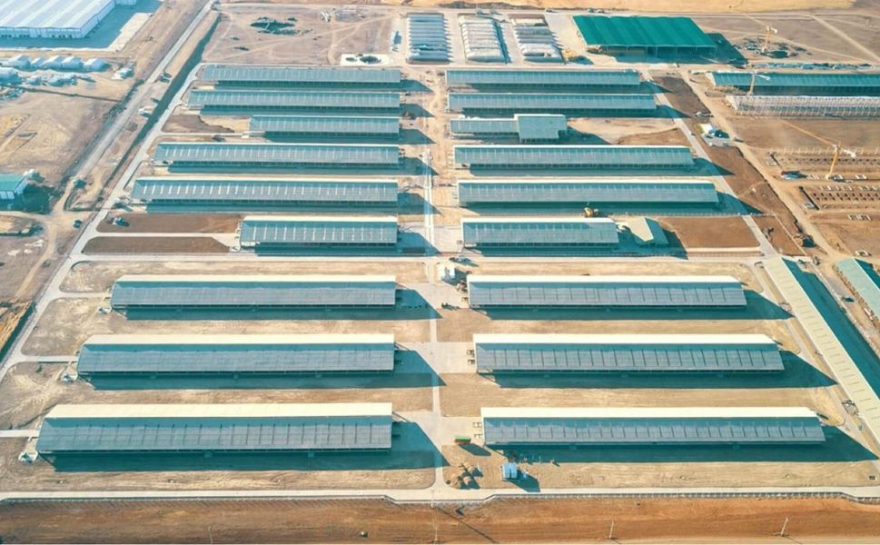 Tokat'ın Kırsal Kalkınmasına Örnek Bir Proje 202 Milyon Dolarlık Yatırımla Hayat Geçirildi Yüzlerce Aileye Gelir Geldi