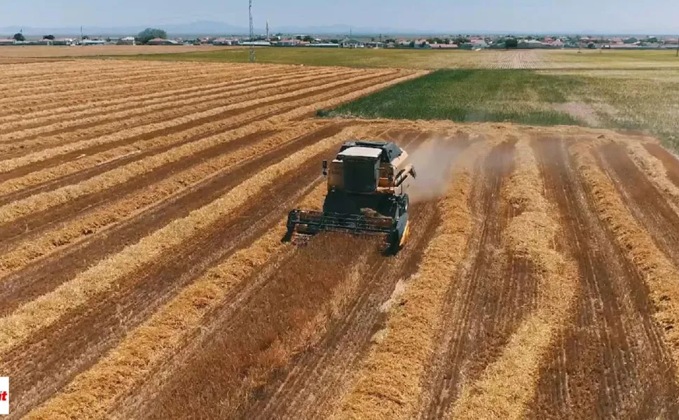 Bu Model Tokat'a Yakışacak Tarımda Dev Olacak Brezilya'da Uygulandı Aranan Formül Bulundu  Üstelik Yapay Zeka Destekli