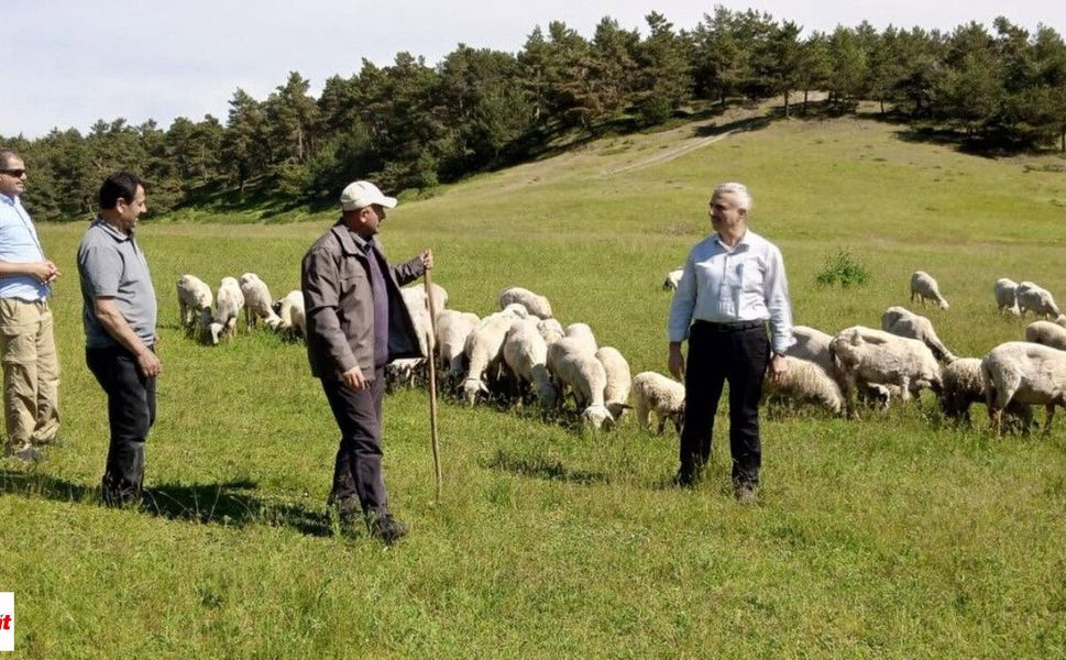 Tokat’ta Yayla ve Meralarda Bereketli Sezon Sinyali