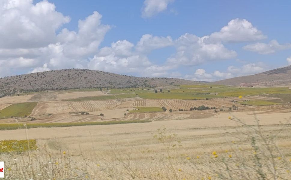 Tokat'ta 25 Kilometrelik Sarı Koridor Karadeniz'de Bozkır Esintisi Yaratıyor