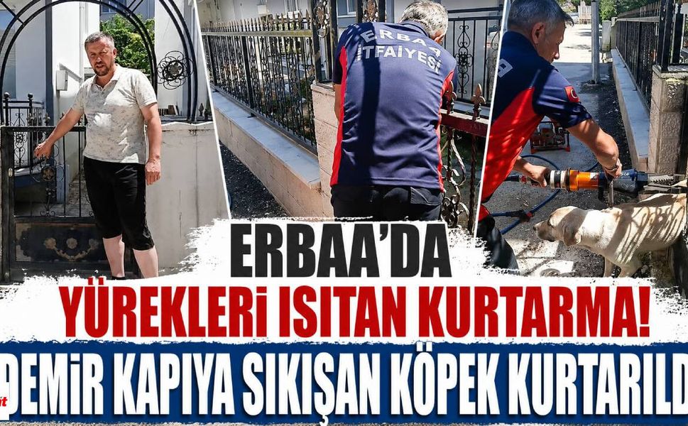 Erbaa'da Yürekleri Isıtan Kurtarma! Demir Kapıya Sıkışan Köpek Kurtarıldı