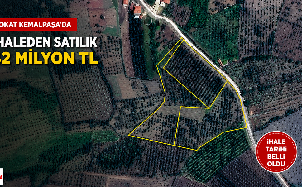 Tokat'ta 42 Milyon TL'lik Meyve Bahçesi İhaleyle Satışa Çıkıyor