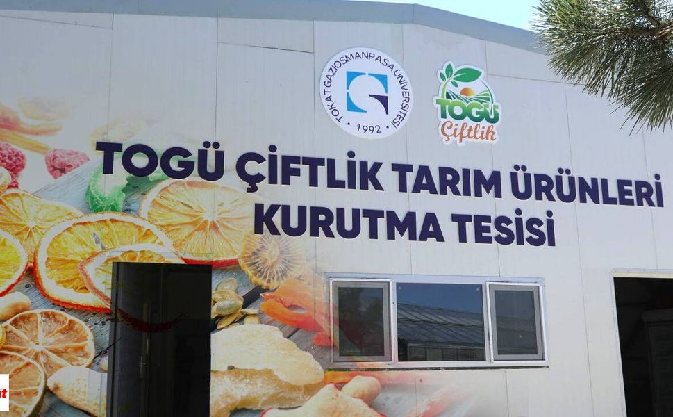 Tokat'ta Çiftçilere Önemli Çağrı: Üniversitenin Kurutma Tesisi Kapılarını Üreticiye Açıyor