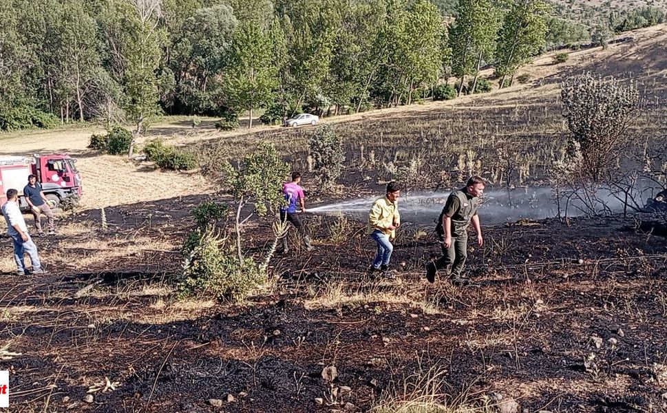 Tokat'ta Korkutan Yangın! Alevler Ekili Arazilere Sıçradı