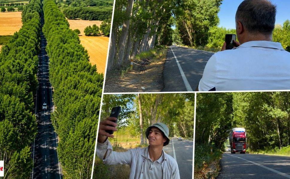 Tokat'ta Serinliğin ve Doğanın Buluştuğu Yol: Ağaç Tüneli