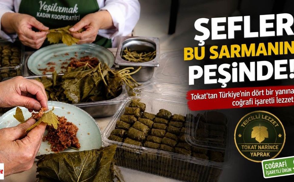 Şefler Bu Sarmanın Peşinde! Tokat'tan Türkiye'ye Lezzet Seferi