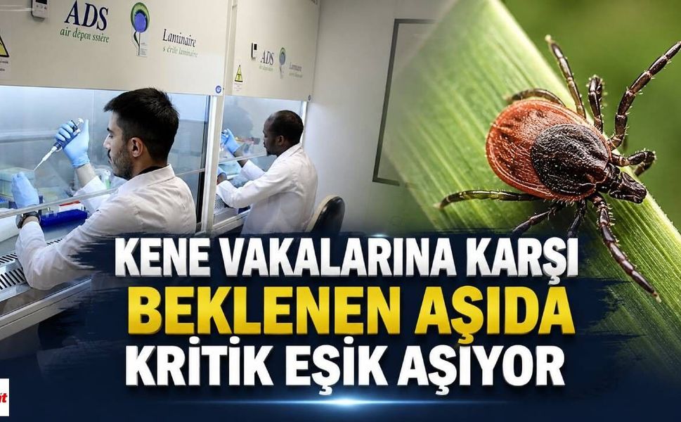 Kene Vakalarına Karşı Beklenen Aşıda Kritik Eşik Aşılıyor