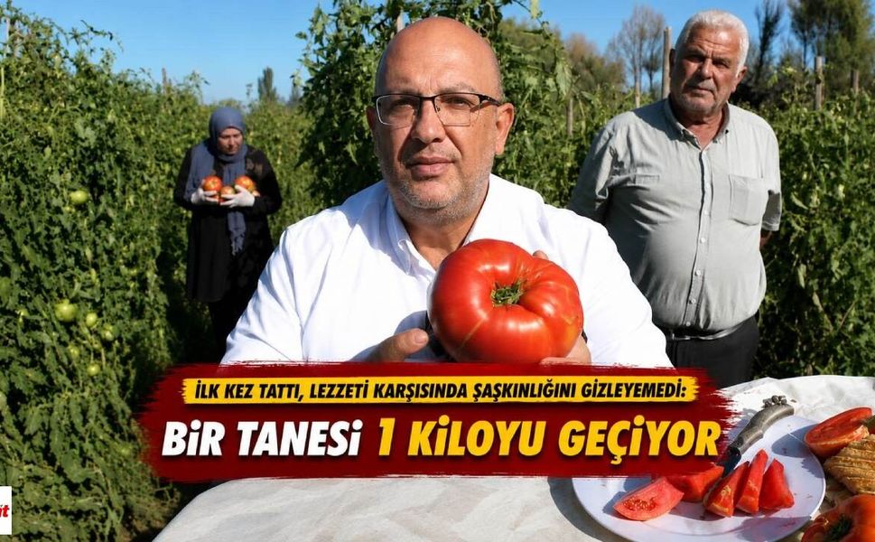 İlk kez tattı, lezzeti karşısında şaşkınlığını gizleyemedi: Bir tanesi 1 kiloyu geçiyor