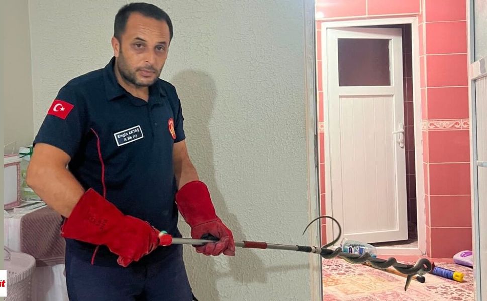 Niksar'da Müstakil Evde Korkutan Anlar Dev Yılan İtfaiyenin Operasyonuyla Yakalandı