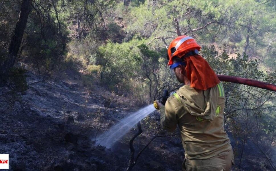 Aydın, Balıkesir ve İzmir’deki Yangınlarda Son Durumu Bakan Açıkladı