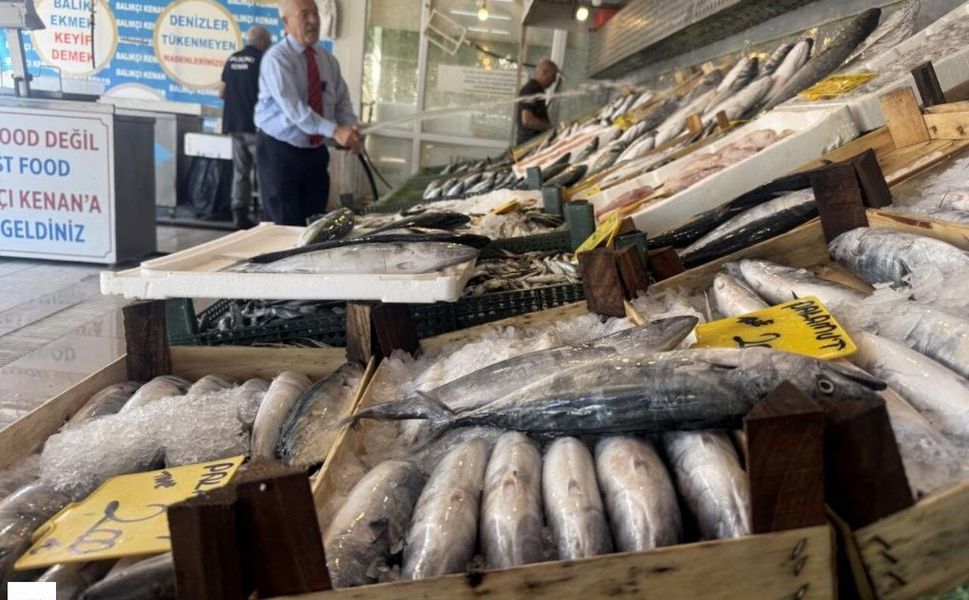 Karadeniz’den Bereket Sinyali: Palamut ve Hamsi Oltalara Vurmaya Başladı