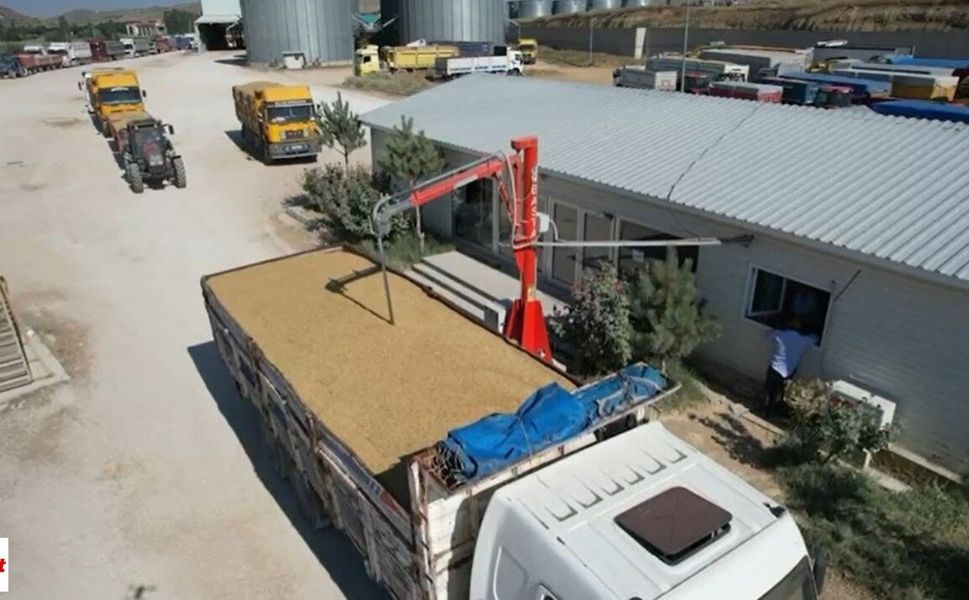 TMO’dan Üreticiye 120 Milyar Liralık Ödeme: Hububat Alımı 11,5 Milyon Tona Ulaştı