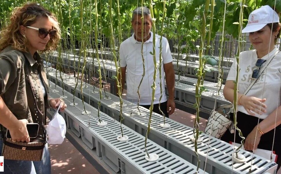 Tokatlı Araştırmacılardan Patates Araştırma Enstitüsüne Teknik Ziyaret