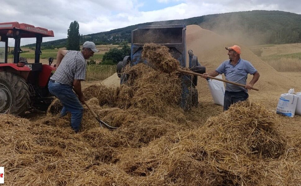 Tokat'ta Sıcak Havada Tozlu Mesai Asırlık Patos Geleneği Devam Ediyor