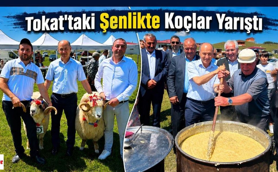 Tokat'taki Şenlikte Koçlar Yarıştı