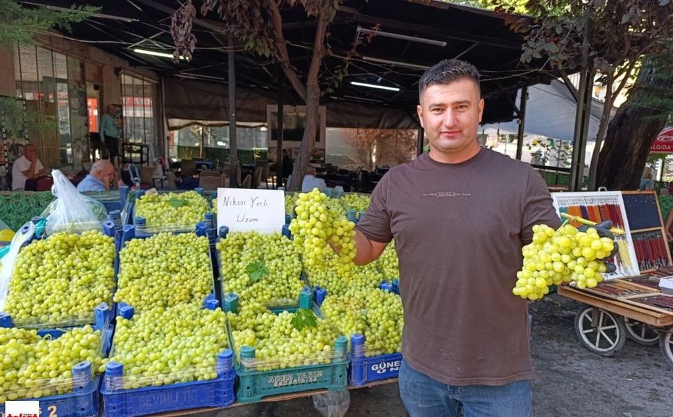Bağlardan Taze Toplandı, Ayağının Tozuyla Tezgaha İndi! Niksar Yerli Üzümünde İlk Fiyat Belli Oldu