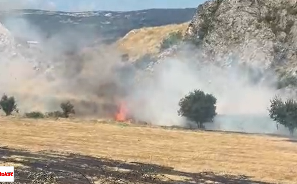 Tokat’ta Alevler Otluk Alanı Sardı:Ekipler Seferber Oldu