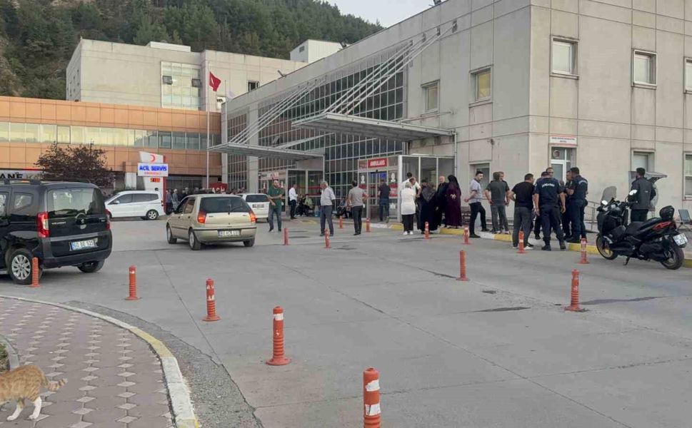 Tokat'ta hayvan otlatma meselesi silahlı kavgaya dönüştü