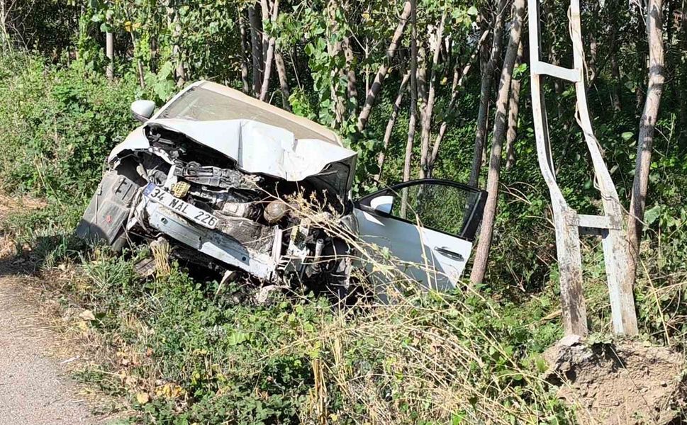 Tokat'ta otomobil elektrik direğine çarptı: 1 ölü, 1 yaralı