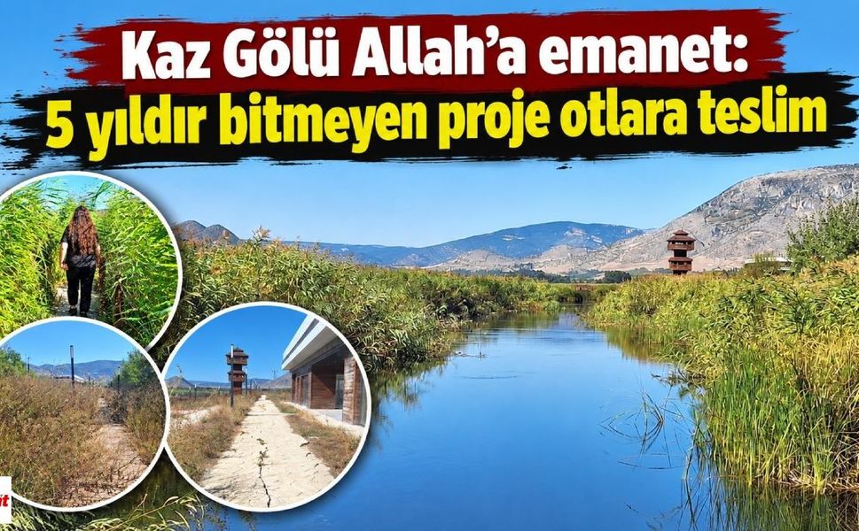 Kaz Gölü Allah’a emanet: 5 yıldır bitmeyen proje otlara teslim