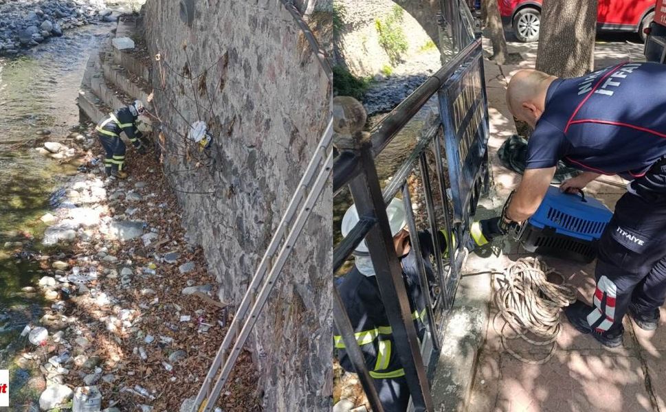 Niksar Çanakçı Deresinde Mahsur Kalan Yavru Kedi İçin İtfaiye Ekipleri Seferber Oldu